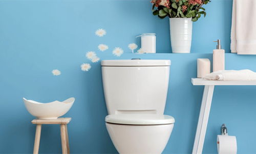 中國衛(wèi)浴潔具行業(yè)發(fā)展狀況與展望